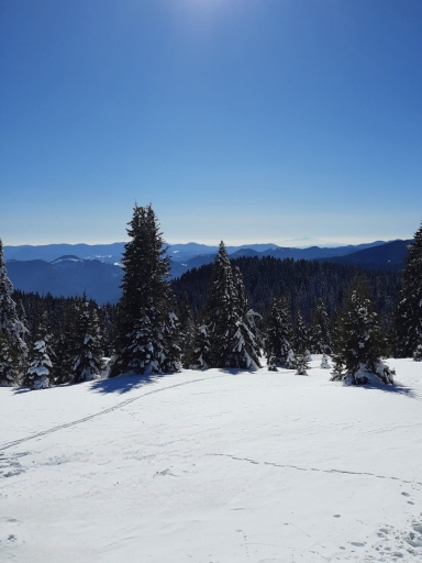 За продажба в Пловдив парцел  Извън Пловдив ID 85133